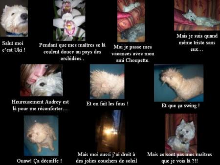 Les vacances d'Uki