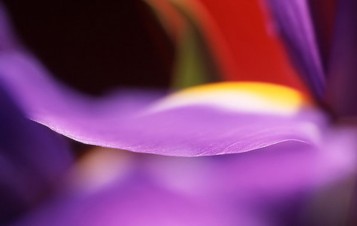 Comment contrôler son amour ?